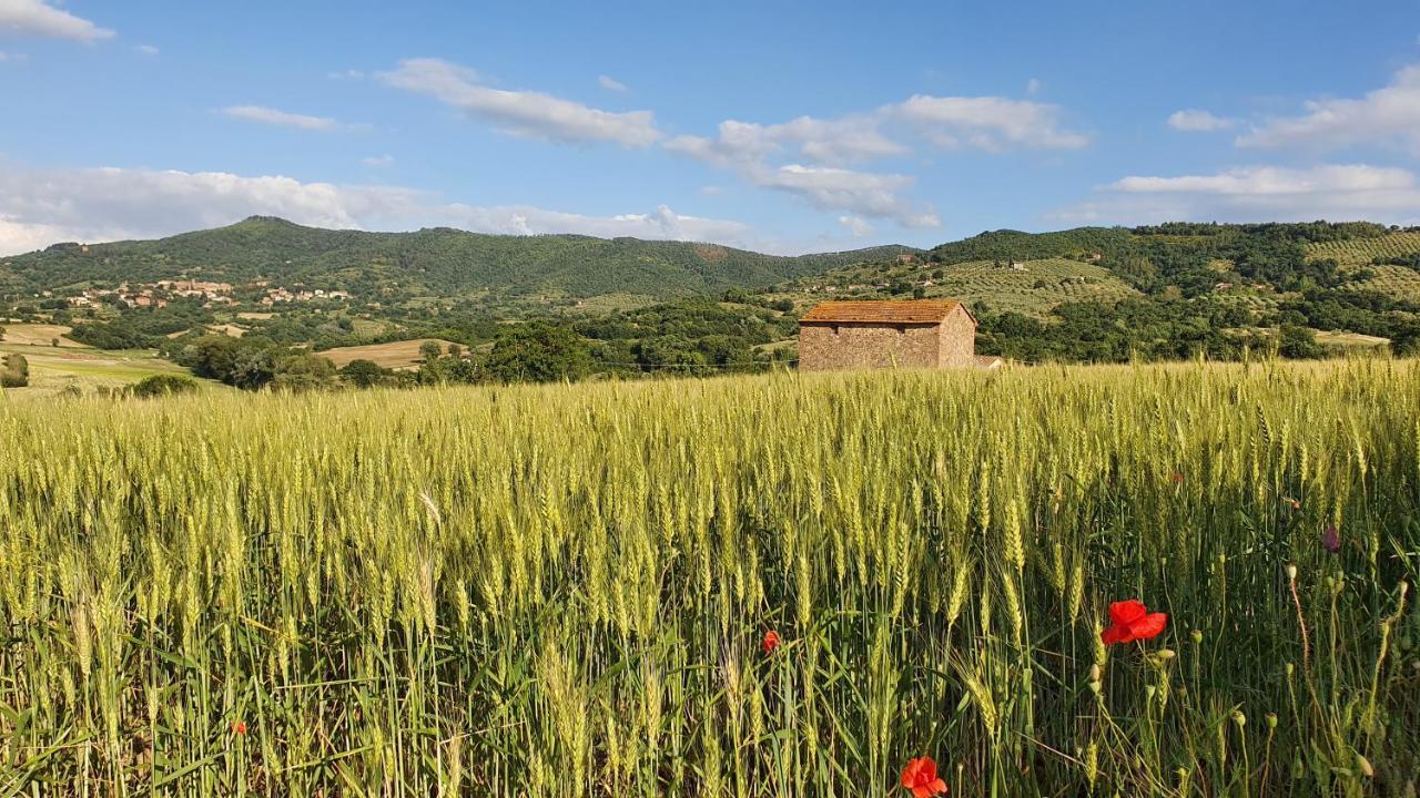 Vacanze Sant Andrea Paciano Extérieur photo