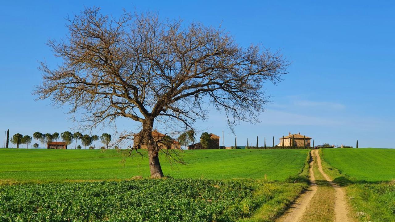 Vacanze Sant Andrea Paciano Extérieur photo